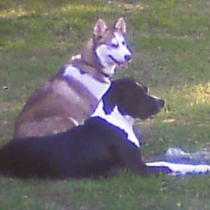 Meet your Posher, Ma